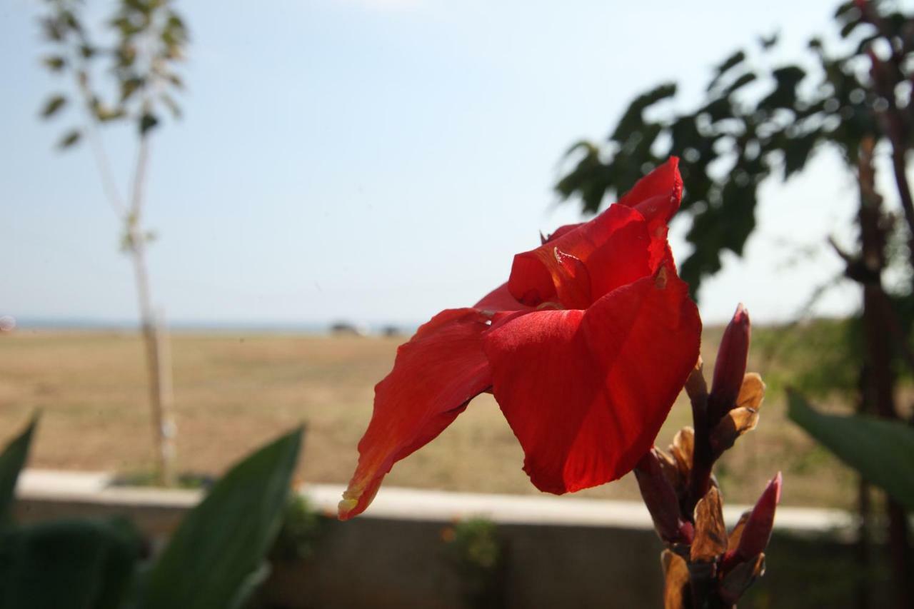See To Sea Apartments Paralia Dionysiou Esterno foto